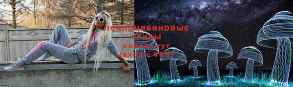 дурь Алексин