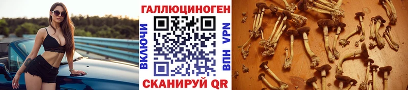 Галлюциногенные грибы мицелий Анива